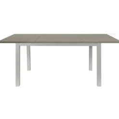 Tavolo Allungabile Pranzo Rettangolare 120x80 Alluminio Larice Grigio