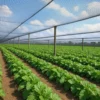 Telo Antigrandine HDPE Verde 4x100 m Ombreggiante Giardino Orto