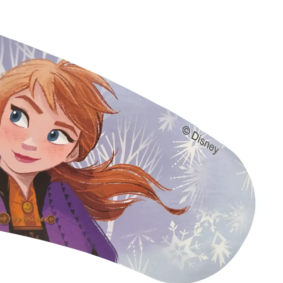 Triciclo Primi Passi per Bambini Frozen Disney 3 Ruote 2 Cestini