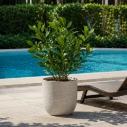 Vaso in Resina Bianco 35x34 Resistente Raggi UV Materiale Riciclabile