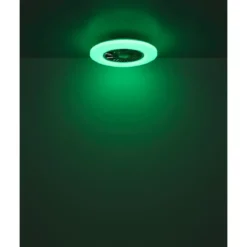 Ventilatore da Soffitto con Argento Bianco 60 cm LED RGB Telecomando