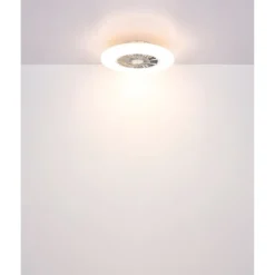 Ventilatore da Soffitto con Argento Bianco 60 cm LED RGB Telecomando