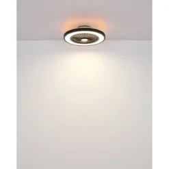 Ventilatore da Soffitto con Luce 54 cm Nero Telecomando Luce Notturna