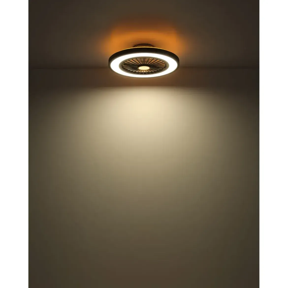 Ventilatore da Soffitto con Luce 54 cm Nero Telecomando Luce Notturna