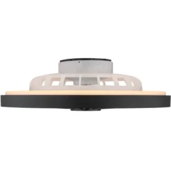 Ventilatore da Soffitto con Luce 54 cm Nero Telecomando Luce Notturna