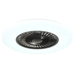Ventilatore da Soffitto con Nero Bianco 60 cm LED RGB Telecomando