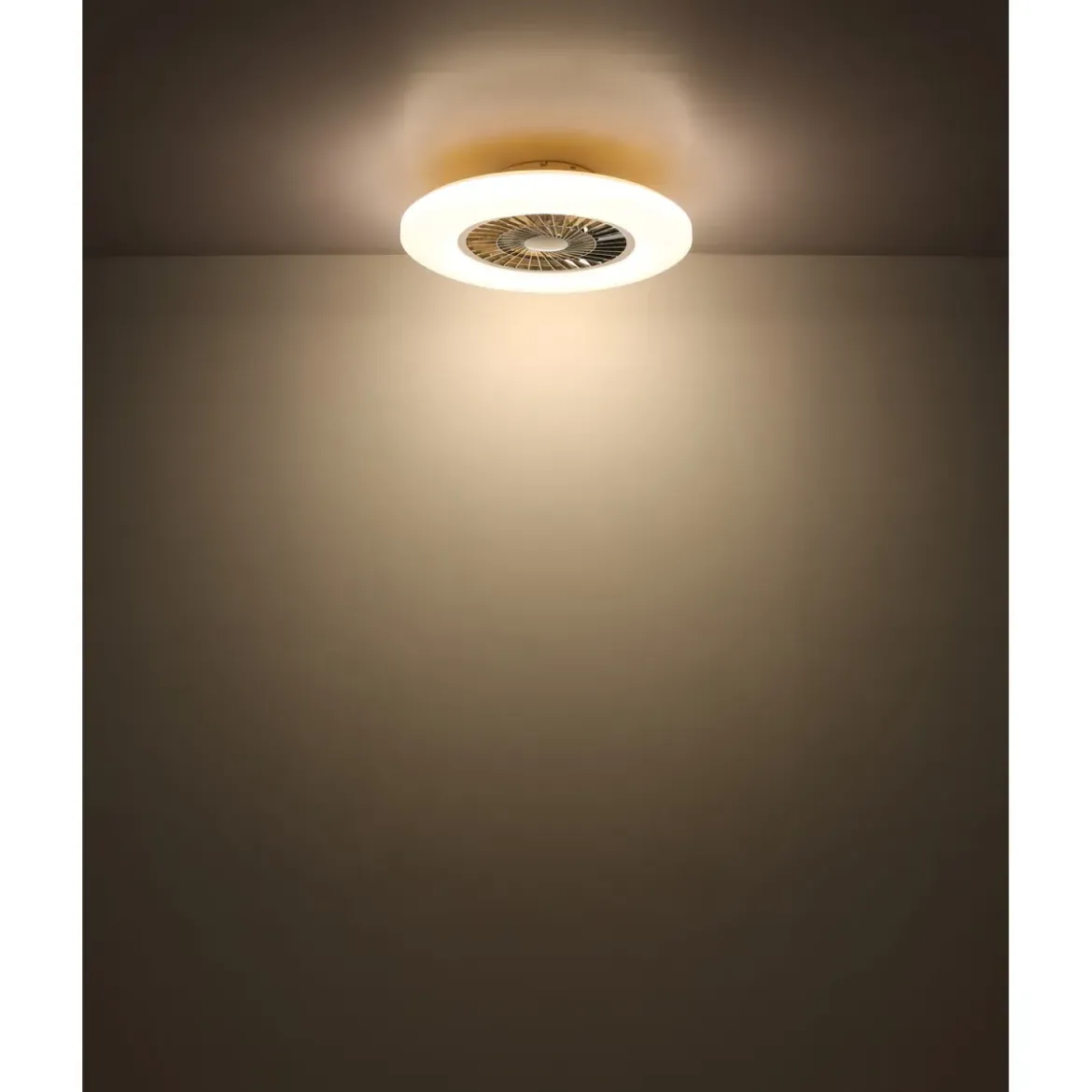 Ventilatore da Soffitto con Nero Bianco 60 cm LED RGB Telecomando