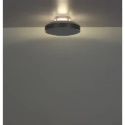 Ventilatore da Soffitto Plafoniera LED Dimmerabile 45 cm Bianco Argento
