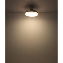 Ventilatore Soffitto con Luce Bianco 106 cm LED CCT Pale Richiudibili